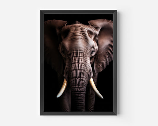 Elephant Poster