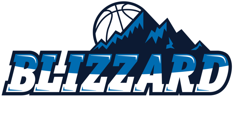 Blizzard Sticker