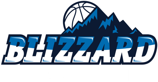 Blizzard Sticker