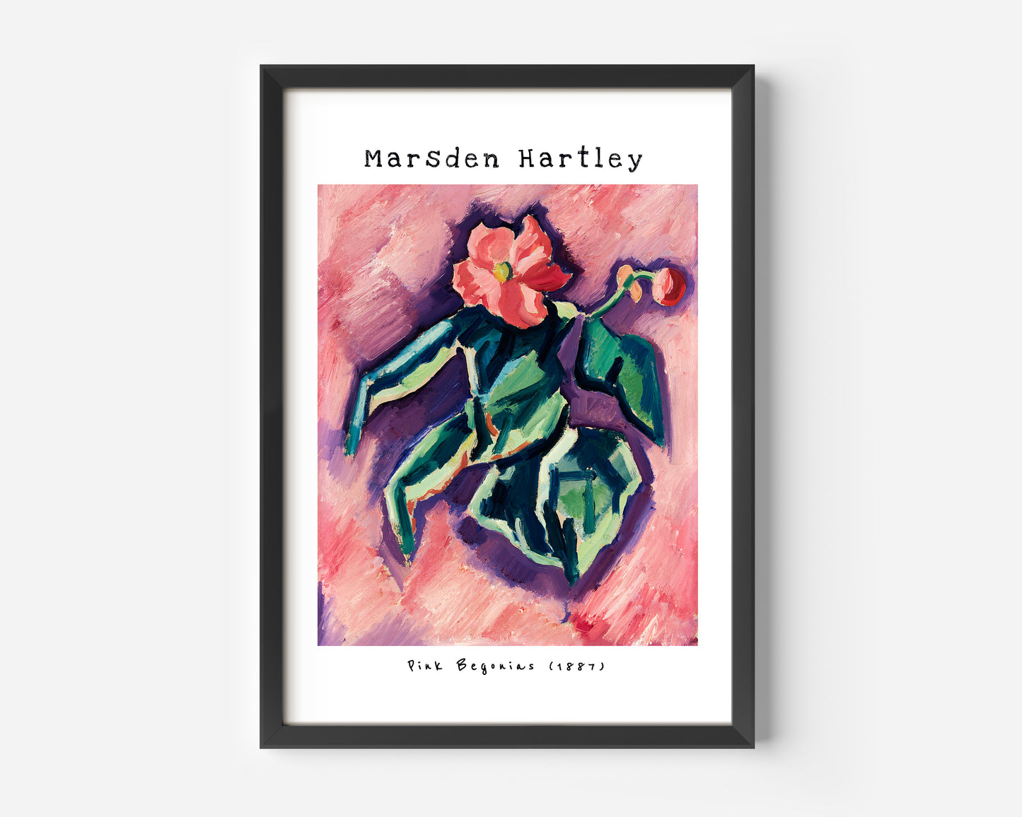 Marsden Hartley flower Pink Begonias Poster