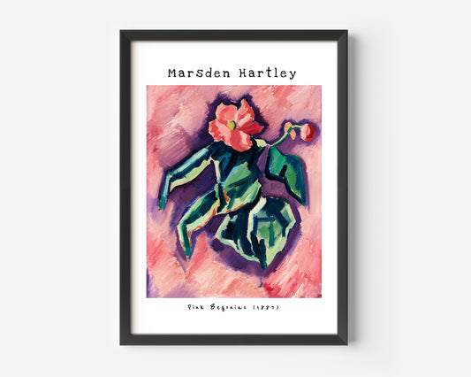 Marsden Hartley flower Pink Begonias Poster