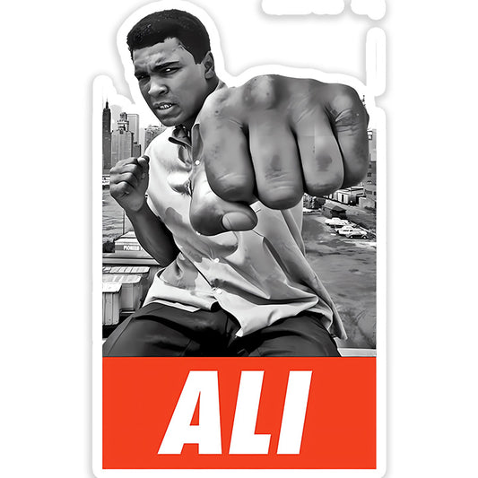 Ali Sticker