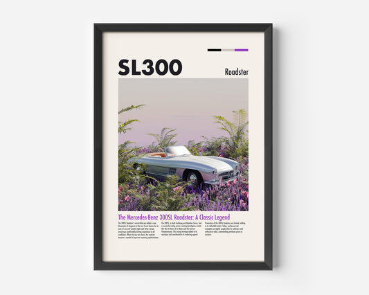 Mercedes-Benz 300 SL Roadster Poster