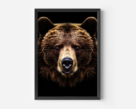 Bear Poster