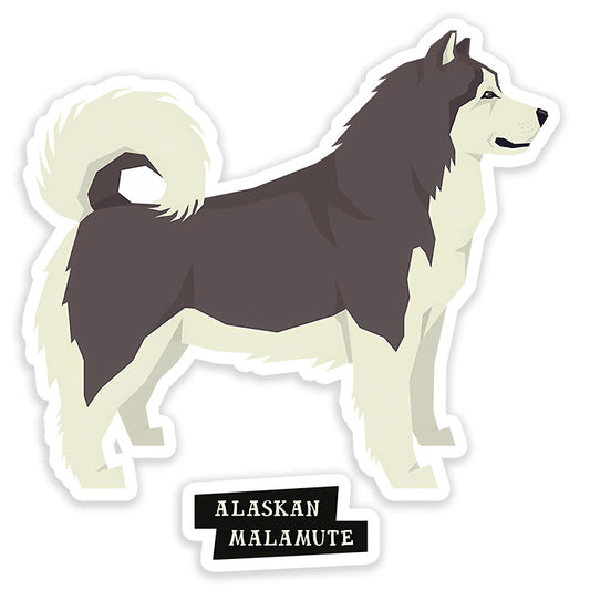 Alaskan Malamute dog Sticker