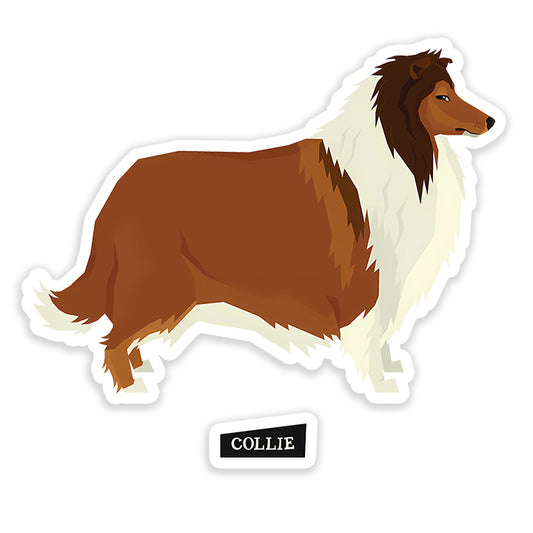 Collie dog Sticker