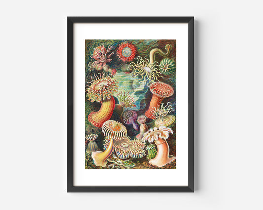 Mushroom vintage Poster