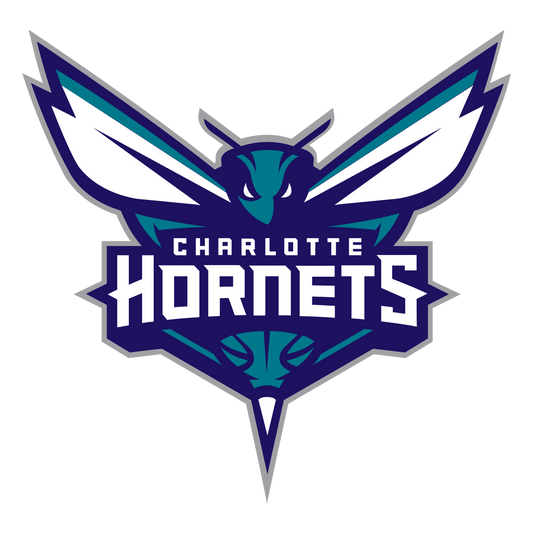Charlotte hornets Sticker