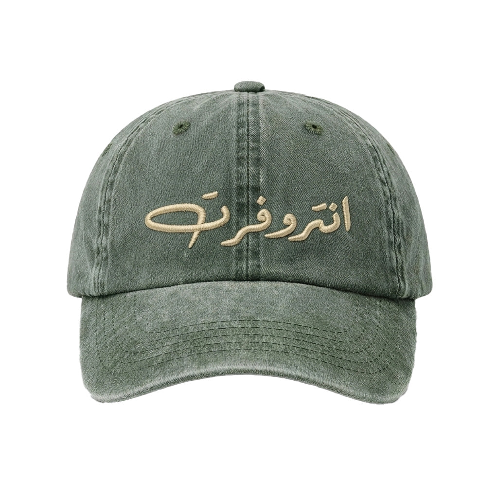 introvert Washed Cap