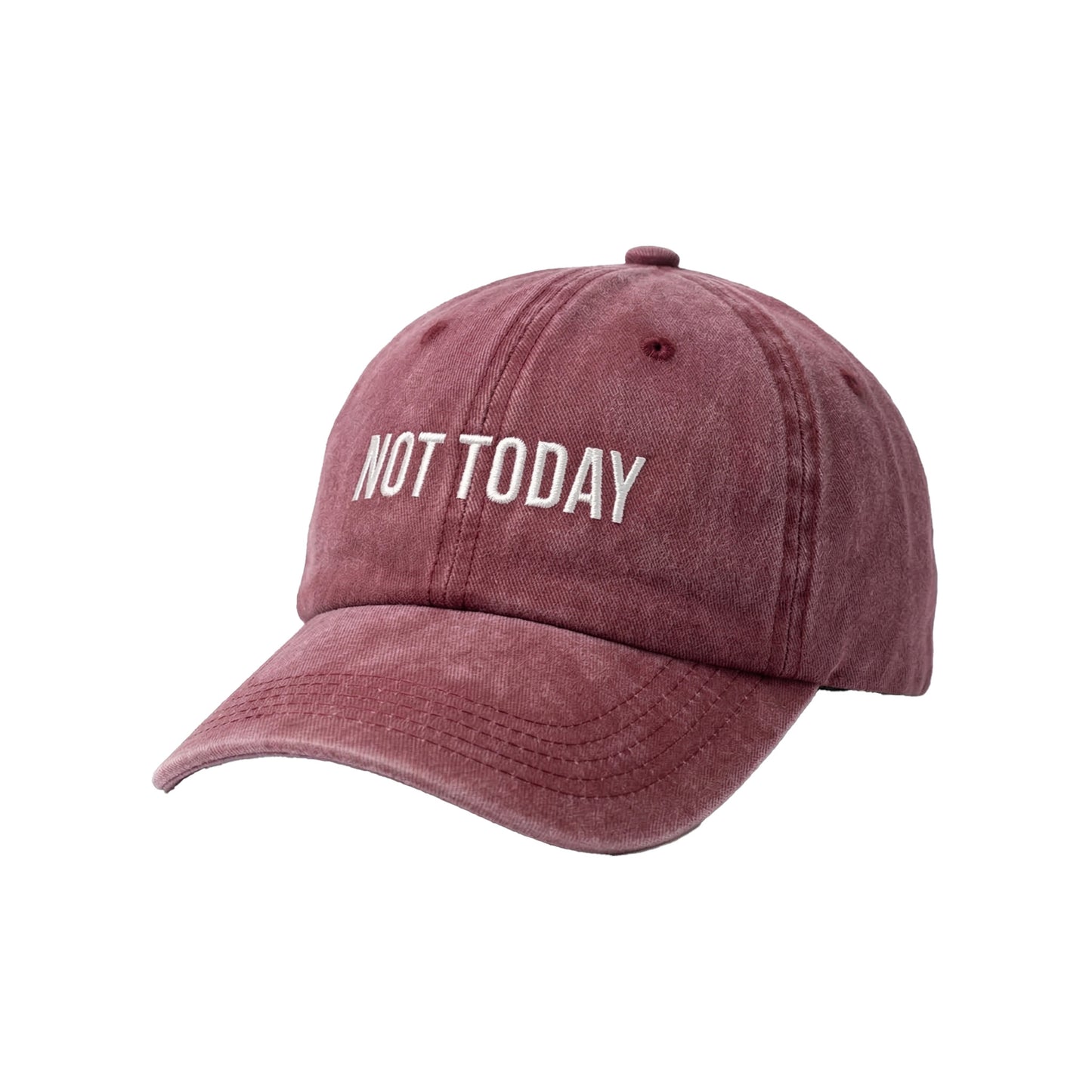 Not Today Washed Cap